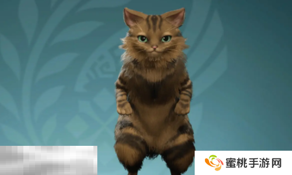 怪物猎人荒野艾露猫捏脸数据分享 狸花猫经典造型还原