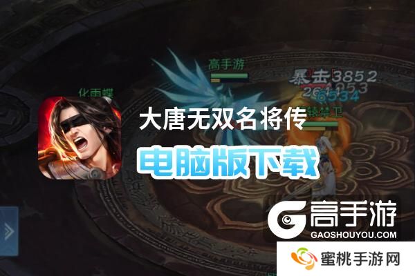 大唐无双名将传电脑版