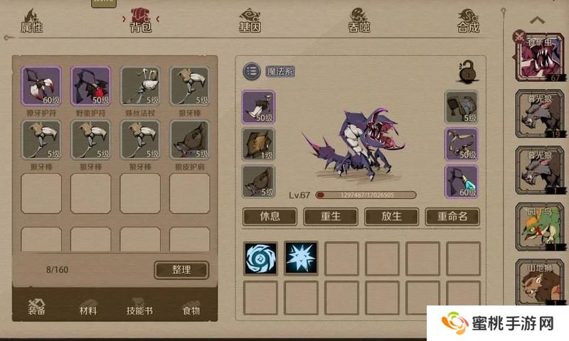 时间之钥宠物养成与生活技能全攻略