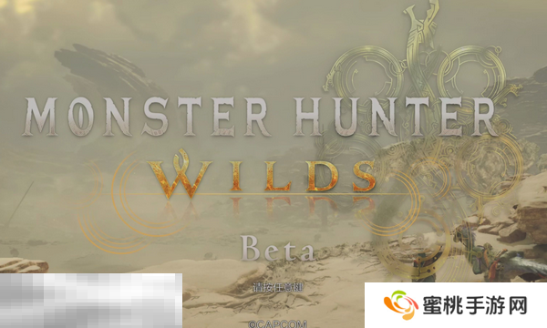 怪物猎人荒野switch上能玩吗 平台支持情况介绍