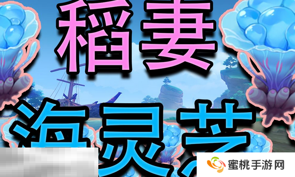 原神海灵芝在哪里 海灵芝采集大全