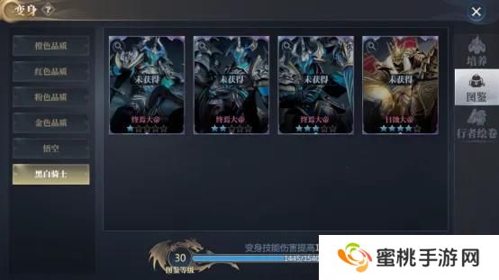 《神火大陆》攻略速递丨神圣冲锋飞跃重踏！黑白骑士技能展示