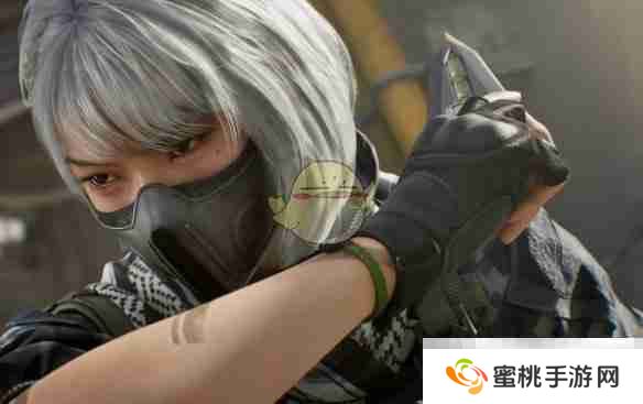 《三角洲行动》枪械改装码分享