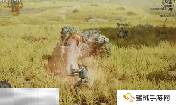 怪物猎人荒野全魔物弱点位置汇总 精准打击攻略