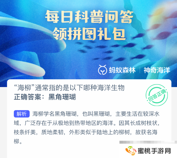 海柳通常指的是以下哪种海洋生物