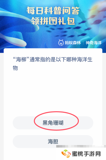 海柳通常指的是以下哪种海洋生物