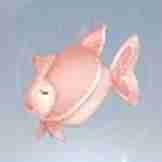 《无限暖暖》头巾鱼在哪里捕捉 头巾鱼采集点位