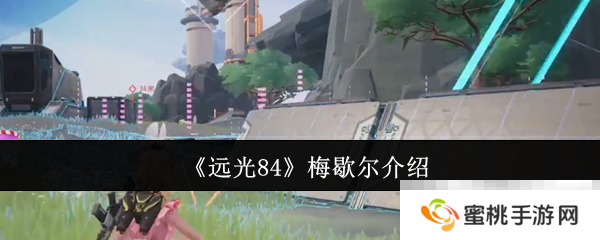 《远光84》梅歇尔介绍