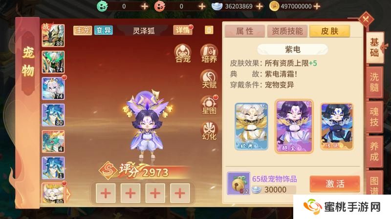 《梦想桃源》震雷躯灵泽狐养成前瞻 天生闪现群伤雷鸣法宠