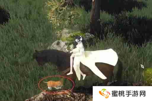 逆水寒手游捉猫记奇遇怎么过 捉猫记奇遇攻略