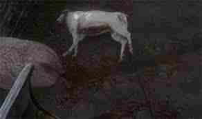 天国拯救2吟游诗人任务如何不花钱完成-天国拯救2吟游诗人任务免费通关技巧