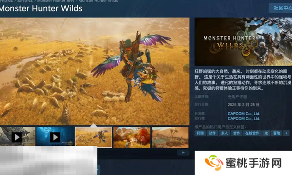 怪物猎人荒野媒体评分解禁 各平台评分及游戏特点一览