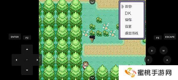 口袋妖怪燃之智汉化版gba