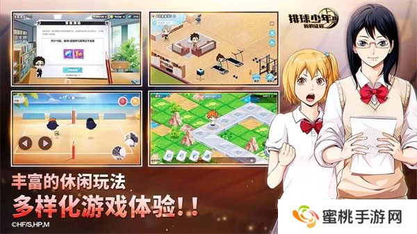 排球少年新的征程