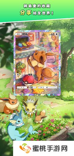 Pokemon TCG国际服