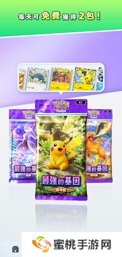 Pokemon TCG国际服