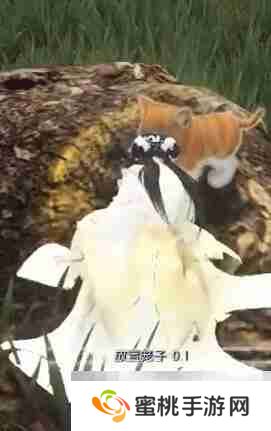 《逆水寒手游》捉猫记奇遇攻略