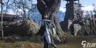 燕云十六声六疾哀鸣任务攻略-如何完成燕云十六声六疾哀鸣任务