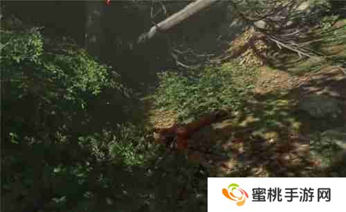 天国拯救2为了胜利怎么绕过路障