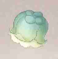 无限暖暖路灯花采集点在哪 路灯花采集点位介绍