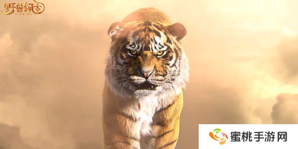 野兽领主新世界阵容搭配推荐