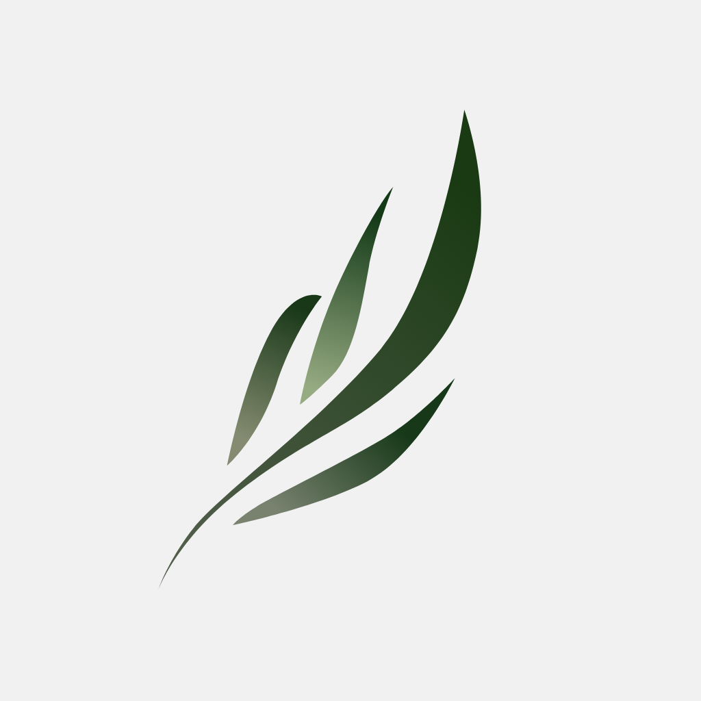 东南小说app去广告版